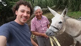 This man became a millionaire by working with his donkey 🏝 Galápagos 🏝