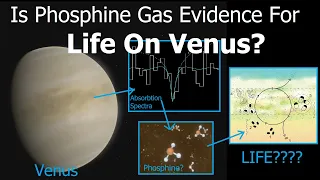 Why Astronomers Think A Poisonous Gas On Venus Could Suggest Life On This Deadly Planet.