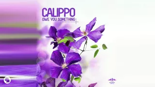 Calippo - Owe You Something (Me & My Toothbrush Radio Mix)