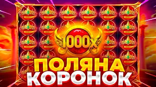 ЛУЧШИЙ ЗАНОС!!! СЛОВИЛ ОГРОМНУЮ ПОЛЯНУ КОРОНОК!!!