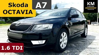 SKODA Octavia A7 [1.6 TDI]: ПЛЮСИ&НЮАНСИ. Купити?