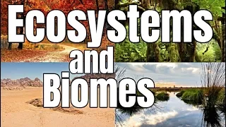Ecosystems and Biomes | Classroom Learning Video