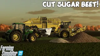 FS22 How To Make Cut Sugar Beet Farming Simulator 22