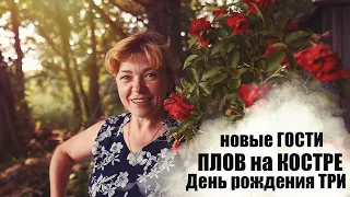 Пятьдесят пирогов и одна свечка. Остров 2020 - Senya Miro