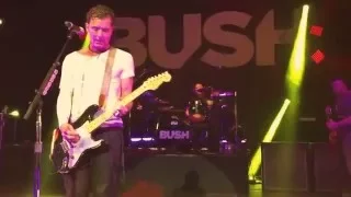 BUSH - SWALLOWED Live from Miami Beach