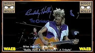 Brian Setzer - Buddy Holly Medley (1988 PBS) "Rock Around With Ollie Vee" & "Oh Boy"