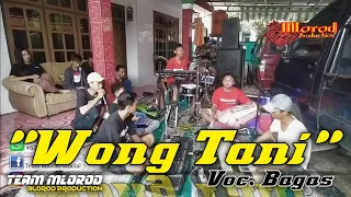 Wong Tani(Jeni Anggoro) Versi Team Mlorod Voc. Bagas