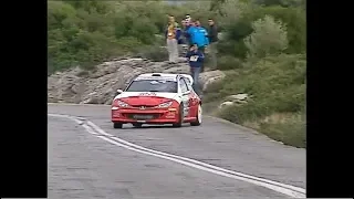 Best of Marios Iliopoulos - Peugeot 206 WRC over the limit | Μάριος Ηλιόπουλος Peugeot 206 WRC