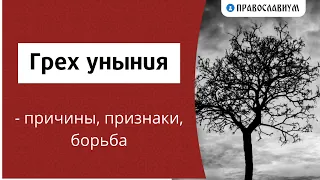 Грех уныния - причины, признаки, борьба