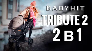 Babyhit Tribute 2 коляска 2 в 1