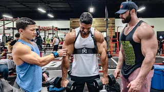 DESTROYING ARMS WITH ANDREI DEIU & TRISTYN LEE