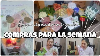 ✅ compras para la semana // organizando mi gasto 📝