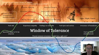 Window of Tolerance