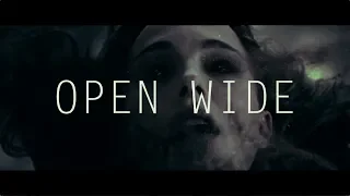 open wide | lokane