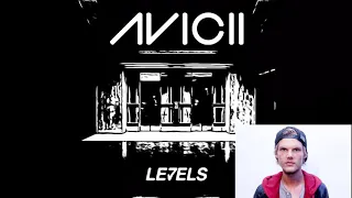 Avicii - Levels in Ballistic Trauma Major