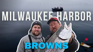 NON STOP ACTION! Milwaukee Harbor Brown Trout Fishing