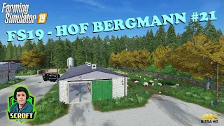 DEBT & BREEDING PIGS! - Farming simulator 19/Hof Bergmann #21