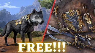 How To Get FREE Pet & Ancient Dragon Hunter Arms Pack, ESO, Elder Scrolls Online
