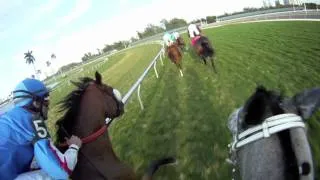 Daniel Centeno Jockey Cam: Ride the Race with EquiSight at GulfStream Park in HD