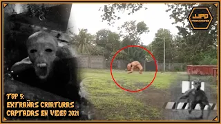 Top 5 Mysterious Creatures Caught on Camera 2021