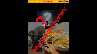 what are the national dish of india? #factsvideo #subscribers #shortsfeed #like#Shorts