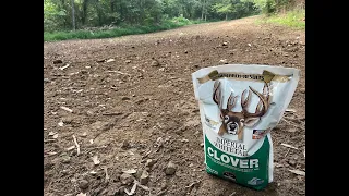 Planting Whitetail Institute Clover