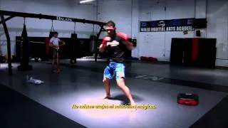 UFC Counter Punch: Chris Weidman