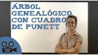 Árbol genealógico con cuadro de Punnet