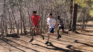 Workout Wednesday: NAU Hill Repeats At 7,000ft For NCAA XC Champs