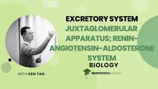 Juxtaglomerular Apparatus & Renin Angiotensin and Aldosterone