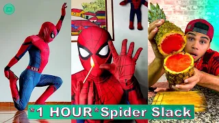 *1 HOUR* Spider Slack TIKTOK Compilation 2023 | New Spider Slack TikTok Videos