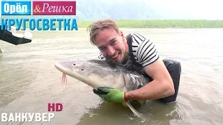 Орёл и Решка. Кругосветка - Ванкувер. Канада (1080p HD)