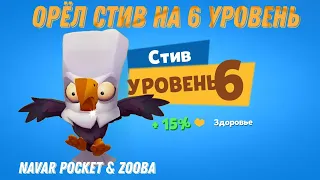 Качаем орла Стива на 6 уровень в игре Zooba. Стив в боях 7 на 7.