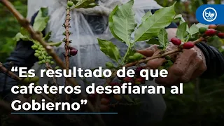 “Es resultado por cafeteros desafiar al Gobierno”: Álvaro Forero sobre rifirrafe con minagricultura