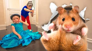 Five Kids Oh No! Got Hamster Lost | Safety Tips for Kids + more Children's Songs and Videos