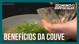 Mitos e Verdades: conheça os benefícios da couve à saúde e aprenda novas receitas