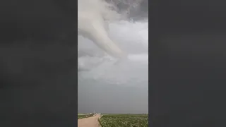 Tornado forms over New Mexico