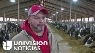 Inmigrante pasa de ordeñar vacas a tener su propia planta lechera en Wisconsin