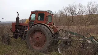 Т - 40 АМ в агрегаті з АГ - 2.4, дискування цілини в перший слід.