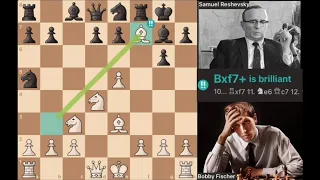 “An Opening Trap To Remember “ | Bobby Fischer Vs  Samuel Reshevsky (1958)