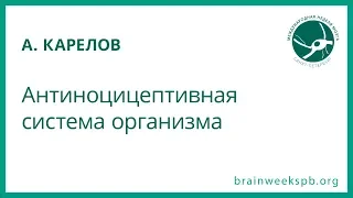 Антиноцицептивная система организма (Алексей Карелов)