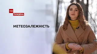 Новини тижня: весна переможе і температура повітря перетне позначку +10