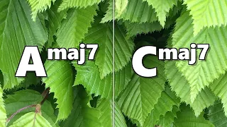 Amaj7 to Cmaj7 Backing Track