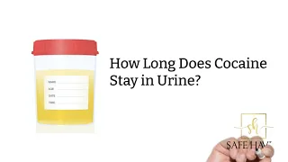 How Long Does Cocaine Stay in Urine? Drug Test Detection