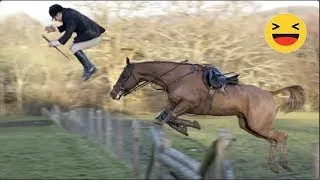 You Would Want a Horse after Finishing this Video - Best Funny and Cute Horse Videos