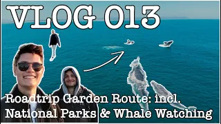 #Vlog 013 - Garden Route: Whale Watching, Wilderness, Knysna, Plettenberg Bay, Tsitsikamma & more