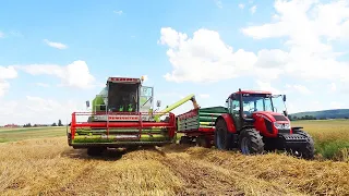 🔥Żniwa 2020 Świętokrzyskie!🔥 Zetor forterra 115 Class dominator 88s Bss P935