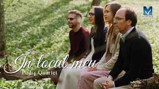 În locul meu - Podiș Quartet 4K | Muzica ProiectM