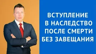 Вступление в наследство после смерти без завещания - Адвокат по гражданским делам