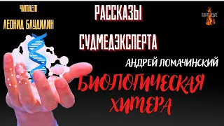 Рассказы Судмедэксперта: БИОЛОГИЧЕСКАЯ ХИМЕРА (автор: Андрей Ломачинский).